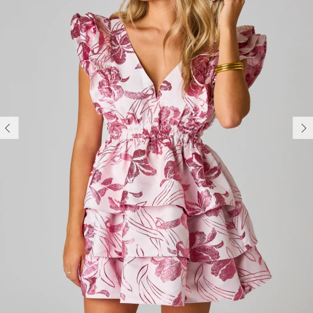 Buddy Love Hudson Dress